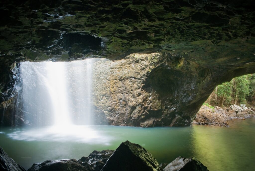 Springbrook National Park